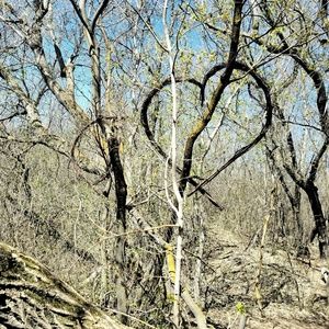 Meet your Posher, Samara